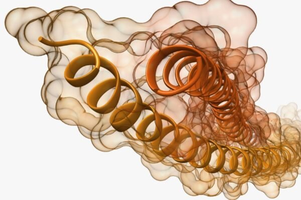 Відкрийте для себе фалафель: секрети приготування та користь для здоров’я