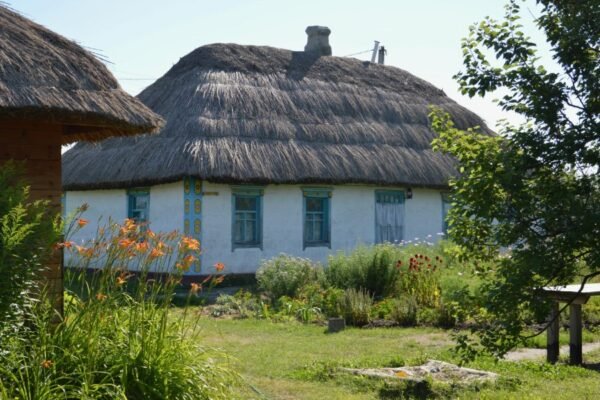 Що таке соціальні мережі: визначення, функції та важливість у житті