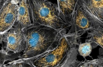 Кашпо: Що Це Таке, Основні Види Та Як Обрати Ідеальне Для Рослин