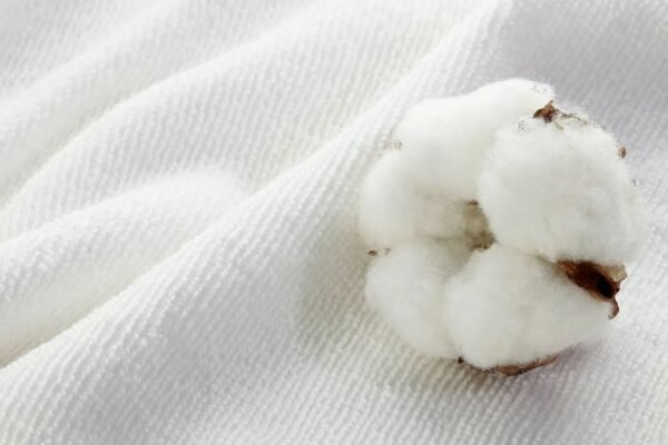 Ротанг: Екологічний та Стильний Вибір для Вашого Інтер’єру