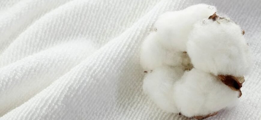 Ротанг: Екологічний та Стильний Вибір для Вашого Інтер’єру