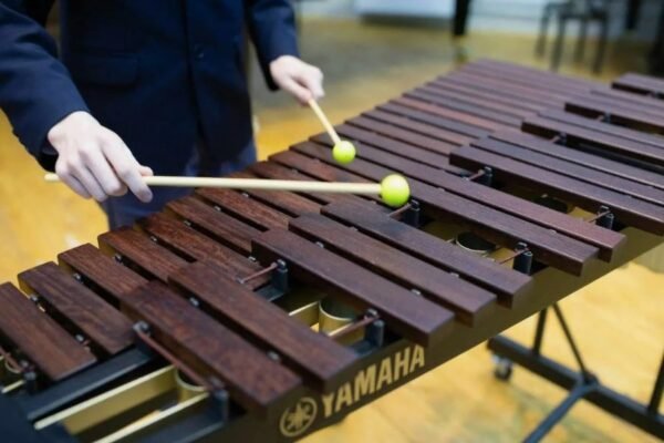 Екологічні виклики 2023: Як зберегти довкілля для майбутніх поколінь