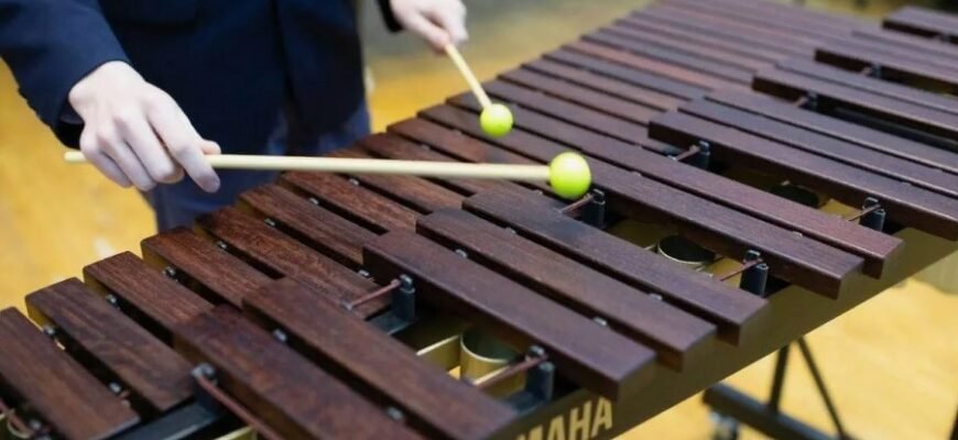 Екологічні виклики 2023: Як зберегти довкілля для майбутніх поколінь