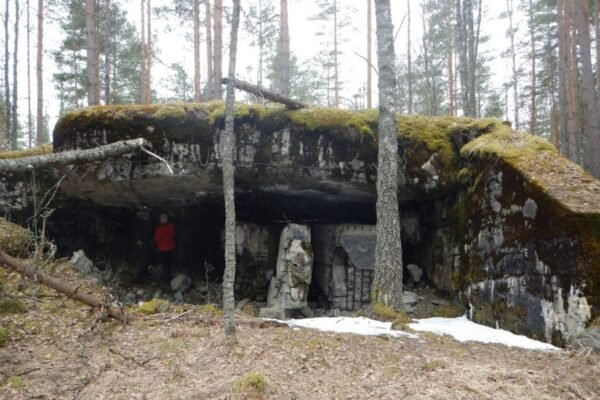 “Роль вібрації в повсякденному житті: як вона впливає на здоров’я”