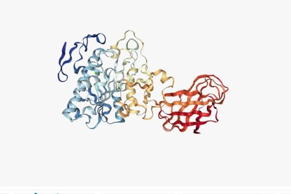 Хлор: Властивості, Застосування та Вплив на Людське Здоров’я