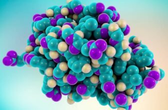 Секрети ротангу: повний гід по вибору, догляду та використанню