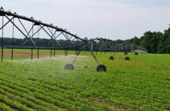 “Стоїцизм: Як Давня Філософія Допомагає Жити Гармонійно Сьогодні”