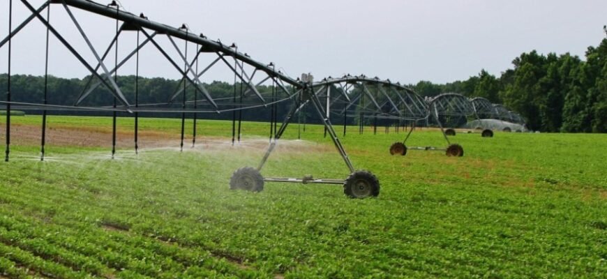 “Стоїцизм: Як Давня Філософія Допомагає Жити Гармонійно Сьогодні” “Стоїцизм: Як Давня Філософія Допомагає Жити Гармонійно Сьогодні”