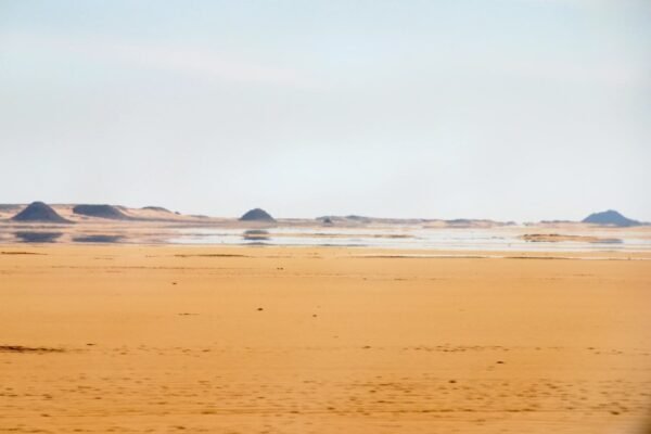 Прованський стиль в дизайні: головні характеристики та особливості оформлення