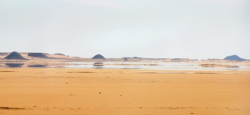 Прованський стиль в дизайні: головні характеристики та особливості оформлення