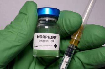 Горгонзола: Кращі поради та секрети вибору ідеального сиру