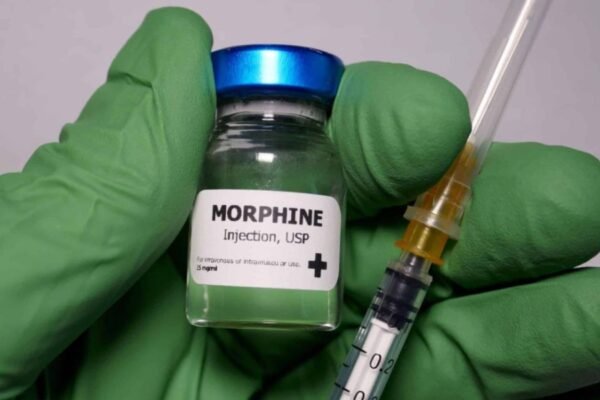 Горгонзола: Кращі поради та секрети вибору ідеального сиру