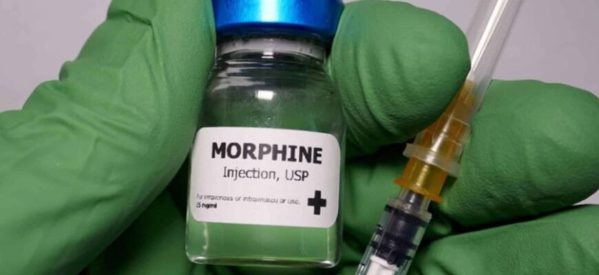 Горгонзола: Кращі поради та секрети вибору ідеального сиру Горгонзола: Кращі поради та секрети вибору ідеального сиру