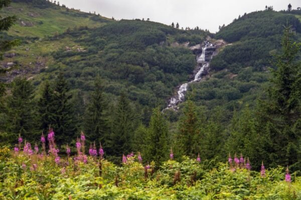 Рівномірно прискорений рух: формули, закони та приклади застосування Рівномірно прискорений рух: формули, закони та приклади застосування