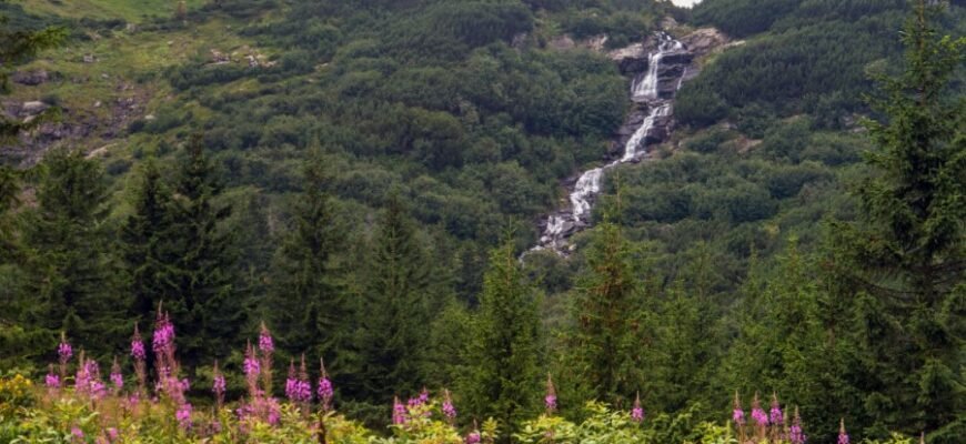 Рівномірно прискорений рух: формули, закони та приклади застосування
