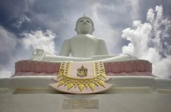 Шейпінг: Як досягти ідеальної форми тіла без зайвих зусиль