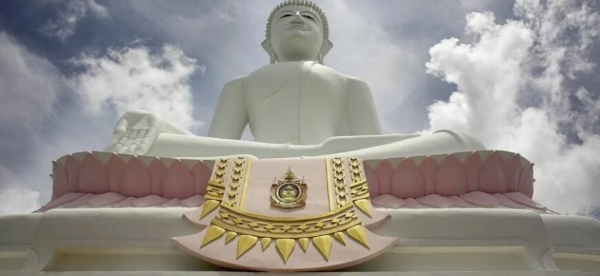 Шейпінг: Як досягти ідеальної форми тіла без зайвих зусиль Шейпінг: Як досягти ідеальної форми тіла без зайвих зусиль