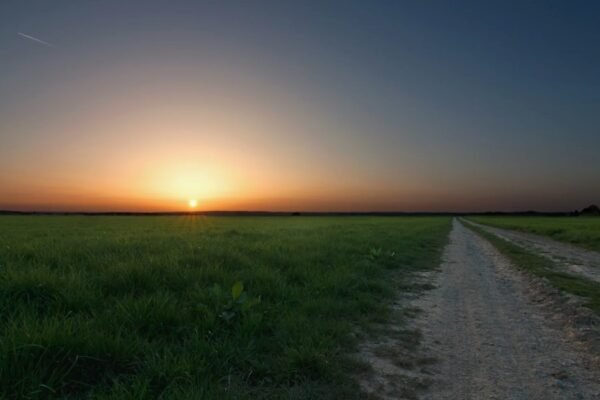 Декаданс: Історія, вплив на культуру та актуальність у сучасності