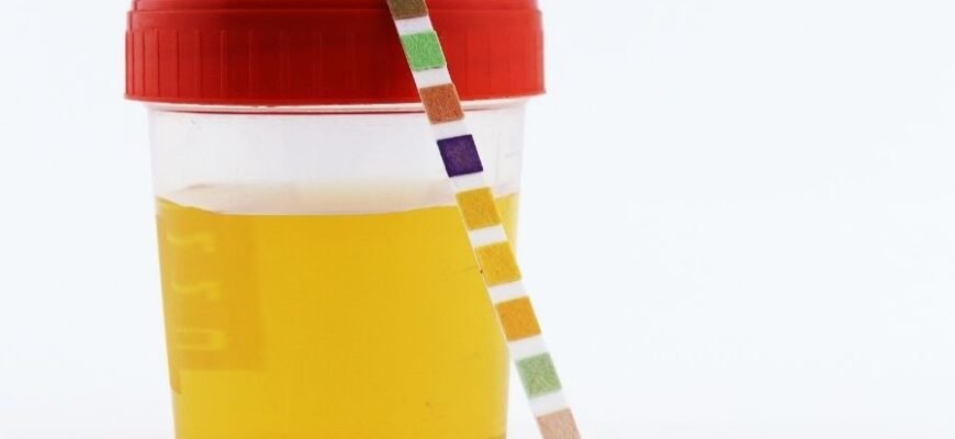 H1: Динаміка в музиці: Як зміни звуку впливають на сприйняття твору