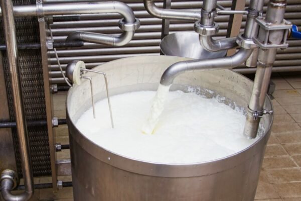 “Користь та застосування селери: здоров’я, рецепти, поради”