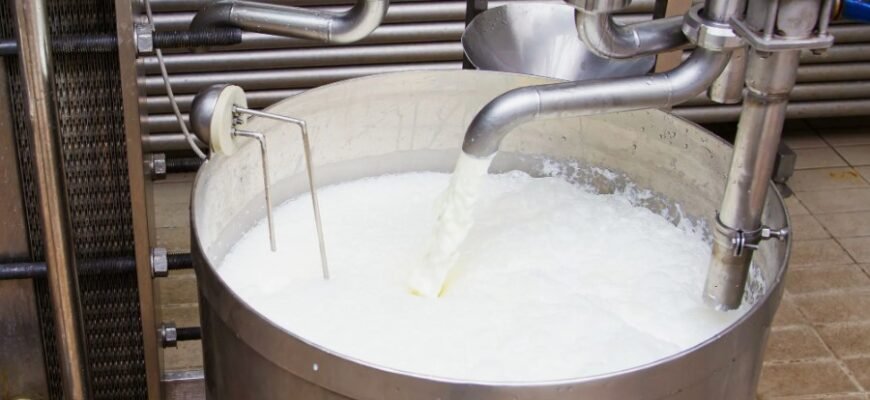 “Користь та застосування селери: здоров’я, рецепти, поради” “Користь та застосування селери: здоров’я, рецепти, поради”