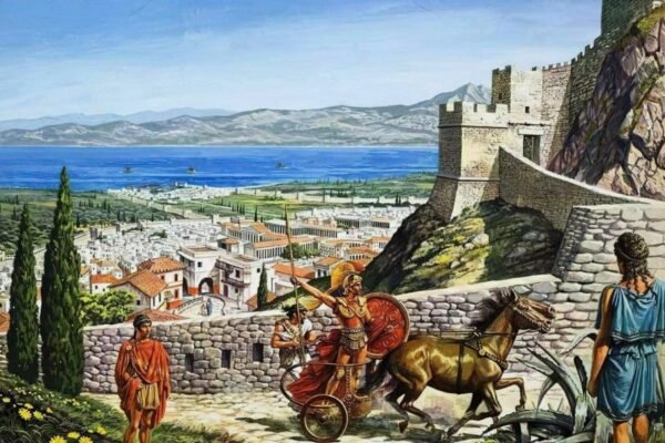 Шрот: що це таке, користь, застосування та як обрати найкращий