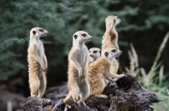 Поп-арт: Історія, Вплив та Найвідоміші Художники Стилю