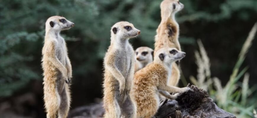 Поп-арт: Історія, Вплив та Найвідоміші Художники Стилю Поп-арт: Історія, Вплив та Найвідоміші Художники Стилю