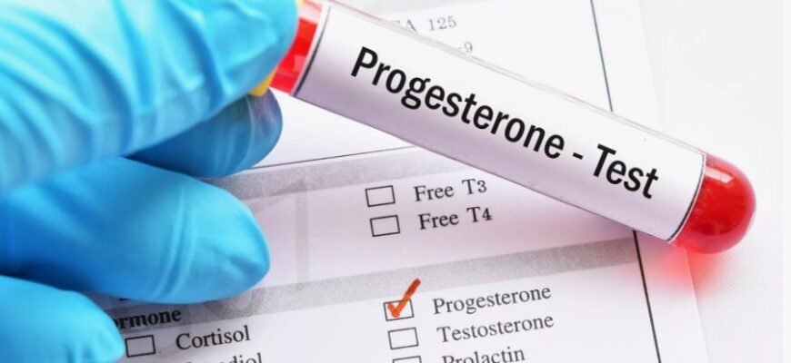 “Важливість та основи рослинництва: Як оптимізувати врожаї успішно”