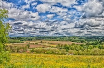 Ферменти: ключова роль в обміні речовин та підтримці здоров’я людини