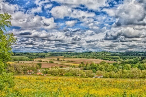 Ферменти: ключова роль в обміні речовин та підтримці здоров’я людини