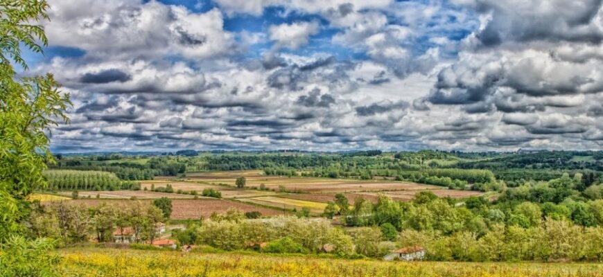 Ферменти: ключова роль в обміні речовин та підтримці здоров’я людини
