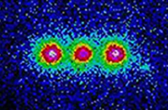 Що таке ММА: Повний огляд змішаних бойових мистецтв для початківців
