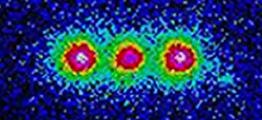 Що таке ММА: Повний огляд змішаних бойових мистецтв для початківців