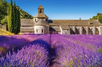 Панкратион: Древнє бойове мистецтво, яке відроджується сьогодні
