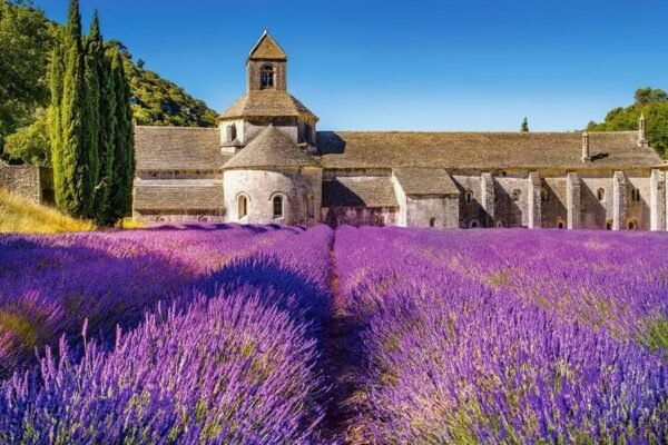 Панкратион: Древнє бойове мистецтво, яке відроджується сьогодні