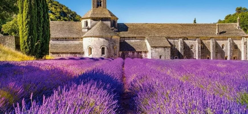 Панкратион: Древнє бойове мистецтво, яке відроджується сьогодні
