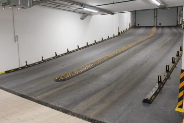 Анатомія та функції копчика: важливість здоров’я цього органу