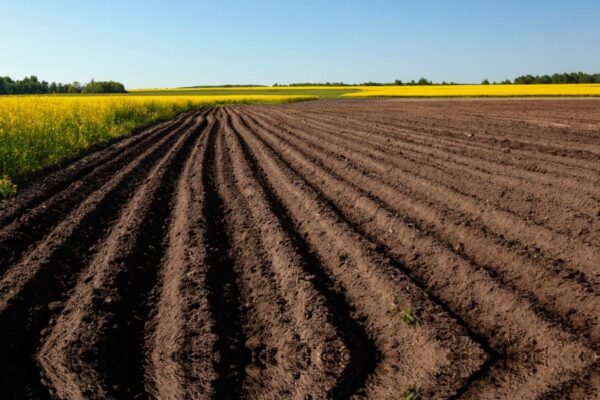 Що таке щастя для людини: розуміння і шлях до гармонії життя Що таке щастя для людини: розуміння і шлях до гармонії життя