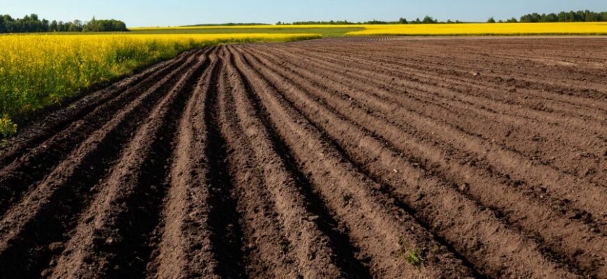 Що таке щастя для людини: розуміння і шлях до гармонії життя Що таке щастя для людини: розуміння і шлях до гармонії життя