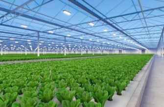 Аукціон: Як придбати унікальні лоти та вигідно інвестувати гроші