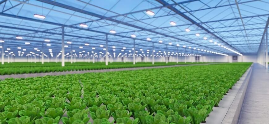 Аукціон: Як придбати унікальні лоти та вигідно інвестувати гроші