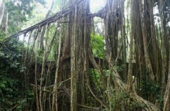 Серйозні стосунки: ключ до гармонійного та стабільного партнерства