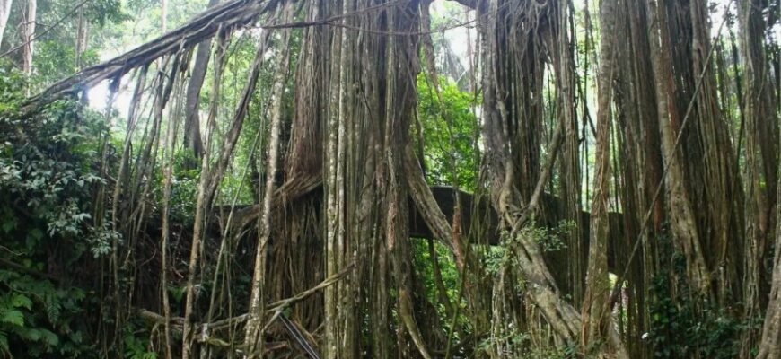 Серйозні стосунки: ключ до гармонійного та стабільного партнерства