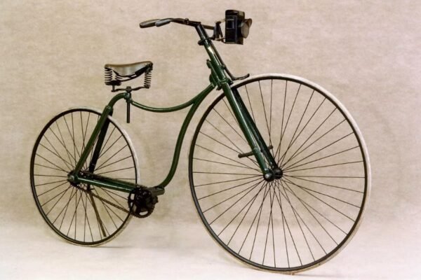 Клітина: Будова, Функції та Роль у Житті Людини – Детальний Огляд