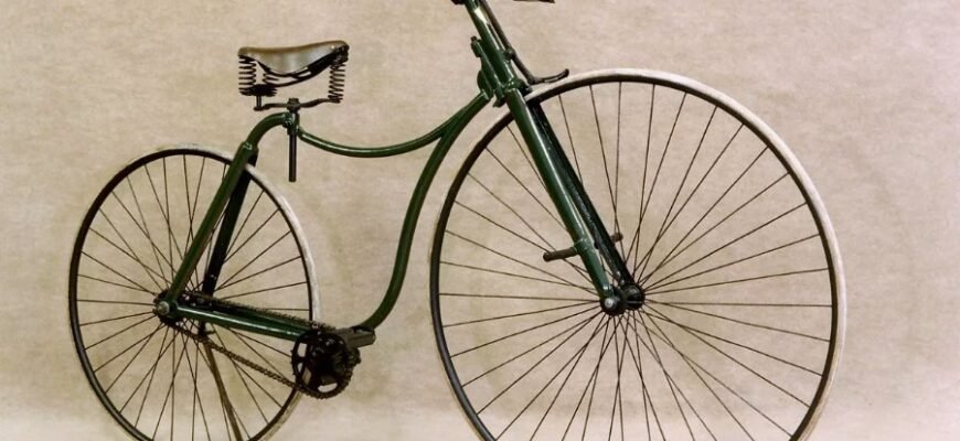 Клітина: Будова, Функції та Роль у Житті Людини – Детальний Огляд