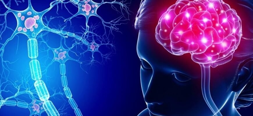 Що таке щастя для людини: Пошук сенсу та гармонії в житті Що таке щастя для людини: Пошук сенсу та гармонії в житті