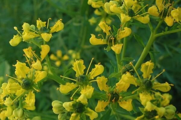 Шоу-рум: Що Це Таке і Як Він Змінює Світ Роздрібної Торгівлі? Шоу-рум: Що Це Таке і Як Він Змінює Світ Роздрібної Торгівлі?