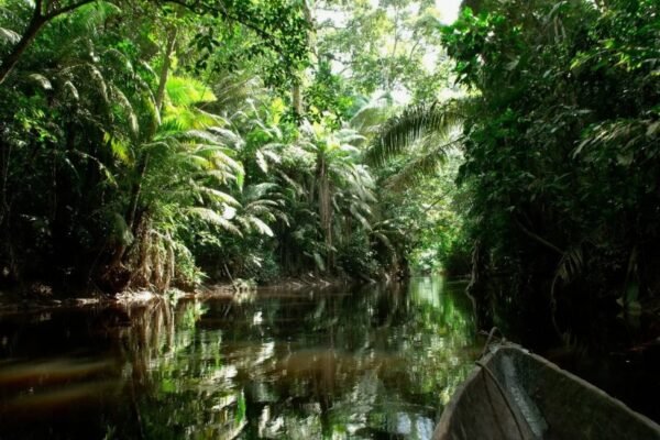 Толерантність: визначення, значення та роль у сучасному суспільстві