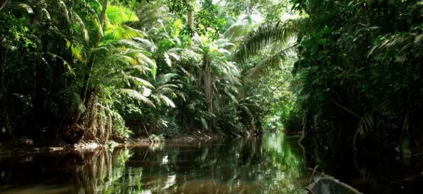 Толерантність: визначення, значення та роль у сучасному суспільстві Толерантність: визначення, значення та роль у сучасному суспільстві